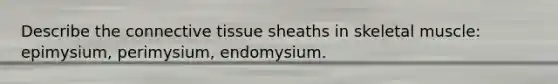 Describe the connective tissue sheaths in skeletal muscle: epimysium, perimysium, endomysium.