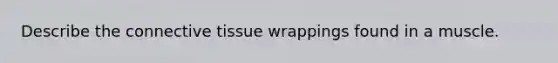 Describe the <a href='https://www.questionai.com/knowledge/kYDr0DHyc8-connective-tissue' class='anchor-knowledge'>connective tissue</a> wrappings found in a muscle.