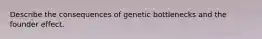 Describe the consequences of genetic bottlenecks and the founder effect.