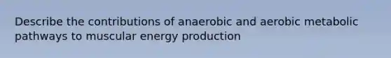 Describe the contributions of anaerobic and aerobic metabolic pathways to muscular energy production