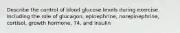 Describe the control of blood glucose levels during exercise. Including the role of glucagon, epinephrine, norepinephrine, cortisol, growth hormone, T4, and insulin