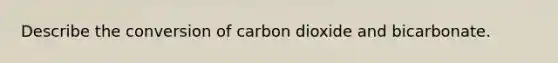 Describe the conversion of carbon dioxide and bicarbonate.