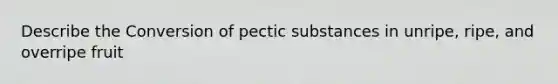 Describe the Conversion of pectic substances in unripe, ripe, and overripe fruit