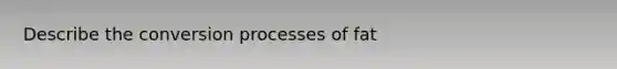 Describe the conversion processes of fat