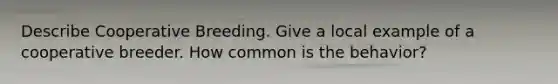 Describe Cooperative Breeding. Give a local example of a cooperative breeder. How common is the behavior?