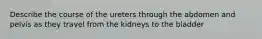 Describe the course of the ureters through the abdomen and pelvis as they travel from the kidneys to the bladder