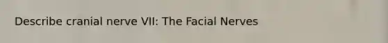 Describe cranial nerve VII: The Facial Nerves