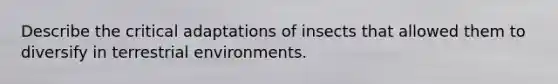 Describe the critical adaptations of insects that allowed them to diversify in terrestrial environments.