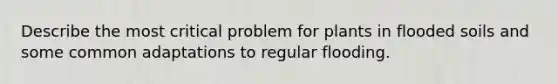 Describe the most critical problem for plants in flooded soils and some common adaptations to regular flooding.