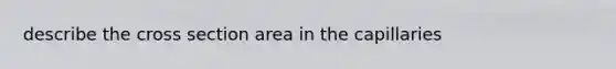describe the cross section area in the capillaries