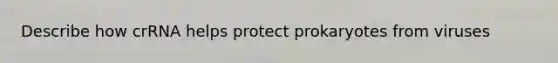 Describe how crRNA helps protect prokaryotes from viruses