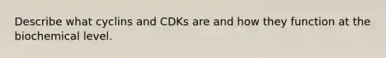 Describe what cyclins and CDKs are and how they function at the biochemical level.