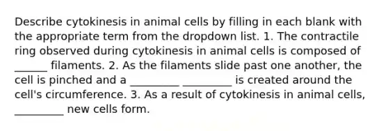 Describe cytokinesis in animal cells by filling in each blank with the appropriate term from the dropdown list. 1. The contractile ring observed during cytokinesis in animal cells is composed of ______ filaments. 2. As the filaments slide past one another, the cell is pinched and a _________ _________ is created around the cell's circumference. 3. As a result of cytokinesis in animal cells, _________ new cells form.