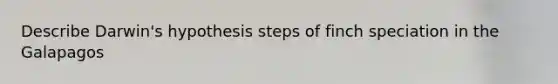 Describe Darwin's hypothesis steps of finch speciation in the Galapagos