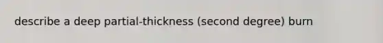 describe a deep partial-thickness (second degree) burn