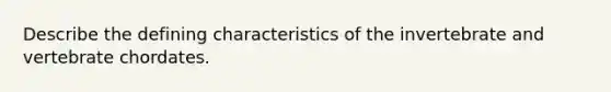 Describe the defining characteristics of the invertebrate and vertebrate chordates.