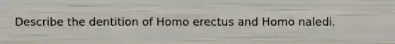 Describe the dentition of Homo erectus and Homo naledi.