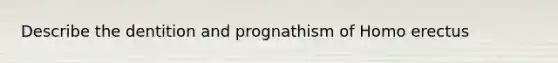 Describe the dentition and prognathism of Homo erectus