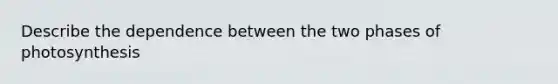 Describe the dependence between the two phases of photosynthesis