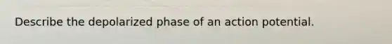 Describe the depolarized phase of an action potential.