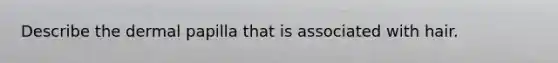 Describe the dermal papilla that is associated with hair.