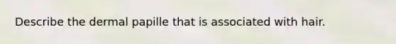 Describe the dermal papille that is associated with hair.