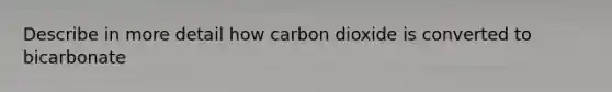 Describe in more detail how carbon dioxide is converted to bicarbonate