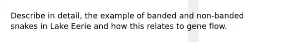 Describe in detail, the example of banded and non-banded snakes in Lake Eerie and how this relates to gene flow.