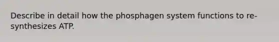 Describe in detail how the phosphagen system functions to re-synthesizes ATP.