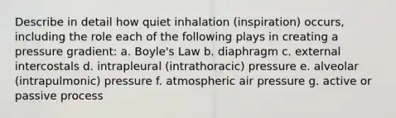 Describe in detail how quiet inhalation (inspiration) occurs, including the role each of the following plays in creating a pressure gradient: a. <a href='https://www.questionai.com/knowledge/kdvBalZ1bx-boyles-law' class='anchor-knowledge'>boyle's law</a> b. diaphragm c. external intercostals d. intrapleural (intrathoracic) pressure e. alveolar (intrapulmonic) pressure f. atmospheric air pressure g. active or passive process