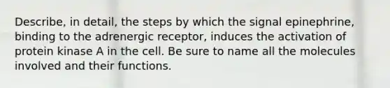 Describe, in detail, the steps by which the signal epinephrine, binding to the adrenergic receptor, induces the activation of protein kinase A in the cell. Be sure to name all the molecules involved and their functions.