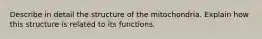 Describe in detail the structure of the mitochondria. Explain how this structure is related to its functions.