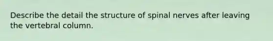 Describe the detail the structure of <a href='https://www.questionai.com/knowledge/kyBL1dWgAx-spinal-nerves' class='anchor-knowledge'>spinal nerves</a> after leaving the <a href='https://www.questionai.com/knowledge/ki4fsP39zf-vertebral-column' class='anchor-knowledge'>vertebral column</a>.