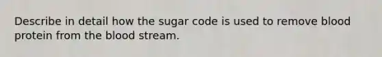 Describe in detail how the sugar code is used to remove blood protein from the blood stream.