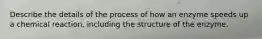 Describe the details of the process of how an enzyme speeds up a chemical reaction, including the structure of the enzyme.