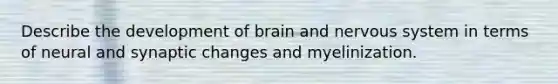 Describe the development of brain and nervous system in terms of neural and synaptic changes and myelinization.