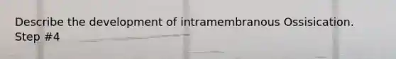 Describe the development of intramembranous Ossisication. Step #4