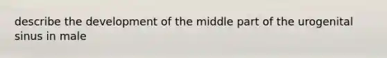 describe the development of the middle part of the urogenital sinus in male