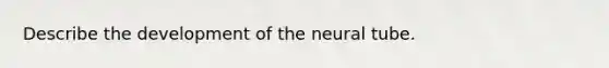 Describe the development of the neural tube.