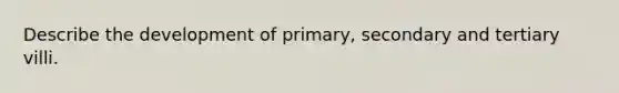 Describe the development of primary, secondary and tertiary villi.