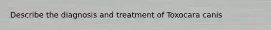 Describe the diagnosis and treatment of Toxocara canis