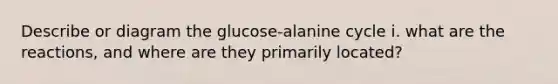 Describe or diagram the glucose-alanine cycle i. what are the reactions, and where are they primarily located?