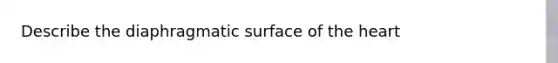 Describe the diaphragmatic surface of the heart