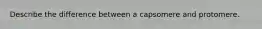 Describe the difference between a capsomere and protomere.