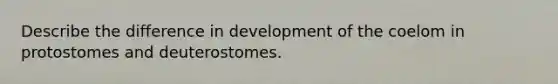 Describe the difference in development of the coelom in protostomes and deuterostomes.