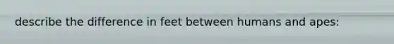 describe the difference in feet between humans and apes: