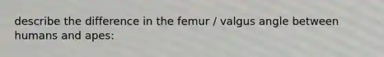 describe the difference in the femur / valgus angle between humans and apes: