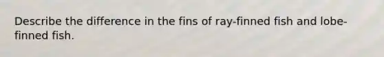 Describe the difference in the fins of ray-finned fish and lobe-finned fish.