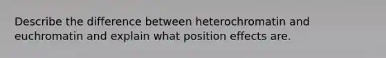 Describe the difference between heterochromatin and euchromatin and explain what position effects are.