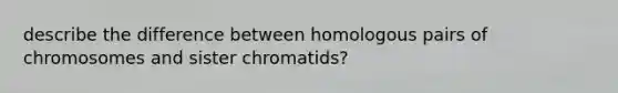 describe the difference between homologous pairs of chromosomes and sister chromatids?